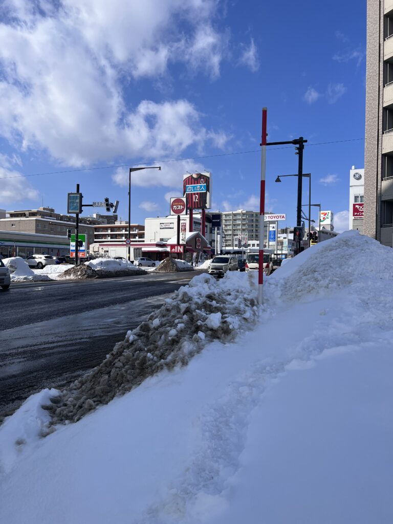 高橋の近くの国道